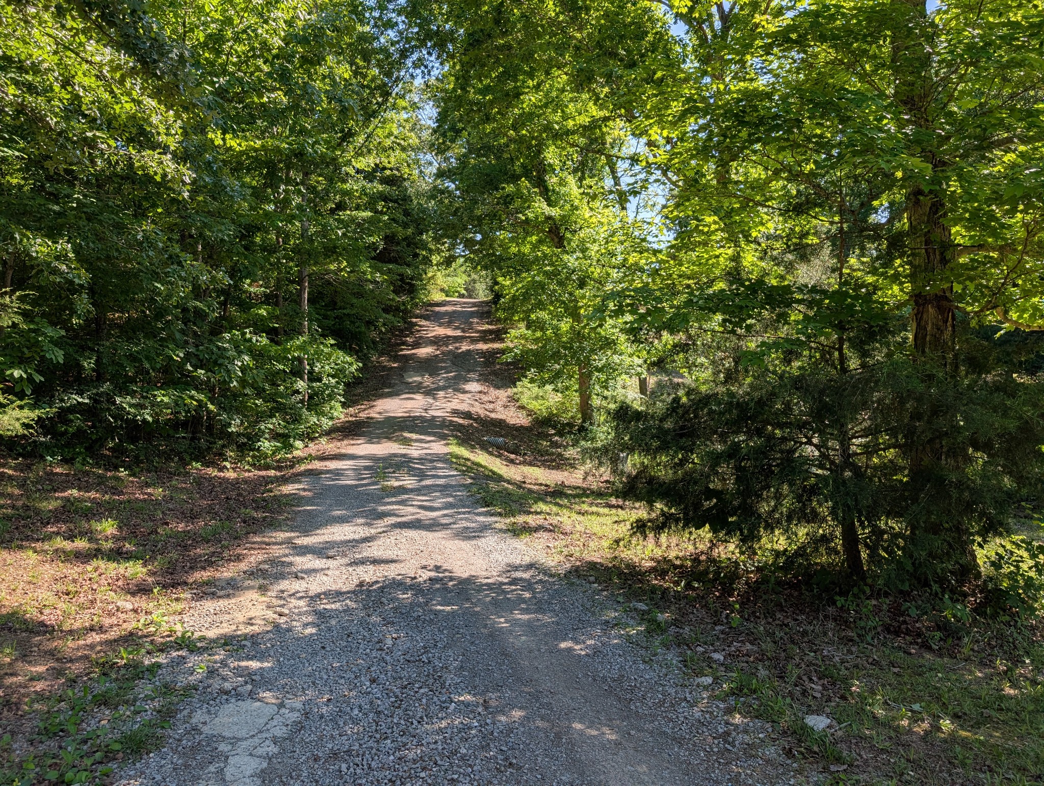 456 Walker Ridge Road Big Rock, TN 37023 - Photo 4 of 71 Gallery Image 4