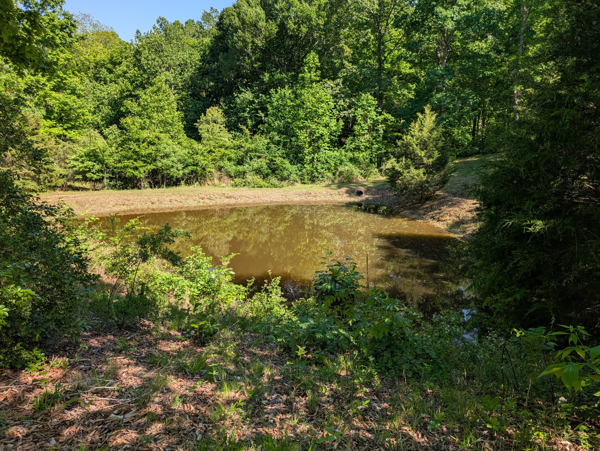456 Walker Ridge Road Big Rock, TN 37023 - Photo 60 of 71 Gallery Image 60