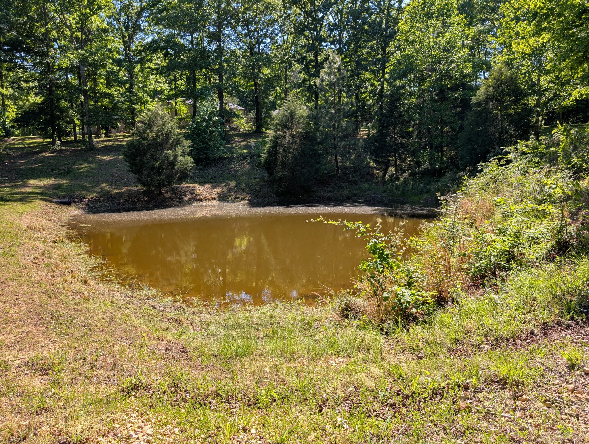 456 Walker Ridge Road Big Rock, TN 37023 - Photo 61 of 71 Gallery Image 61