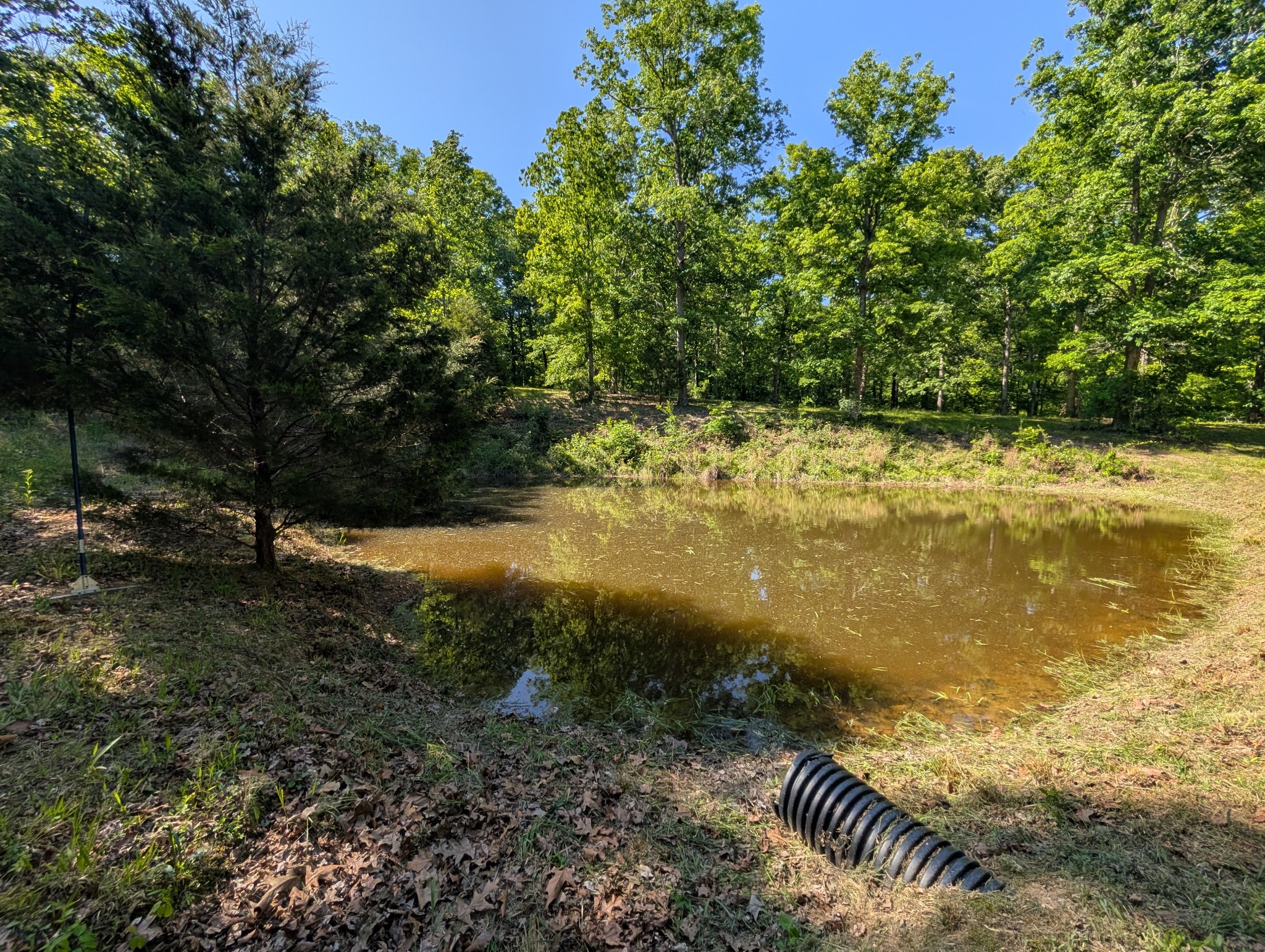 456 Walker Ridge Road Big Rock, TN 37023 - Photo 63 of 71 Gallery Image 63