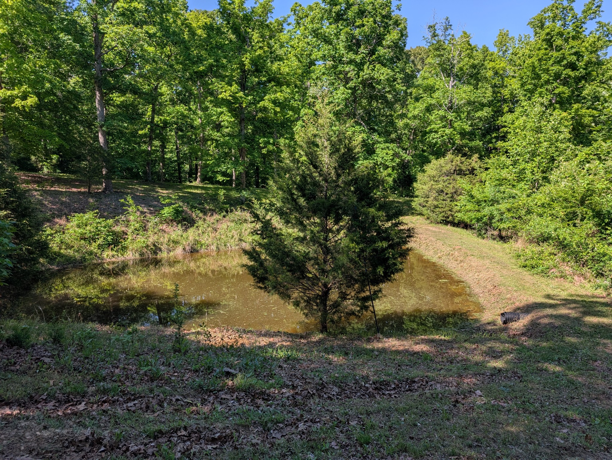 456 Walker Ridge Road Big Rock, TN 37023 - Photo 64 of 71 Gallery Image 64
