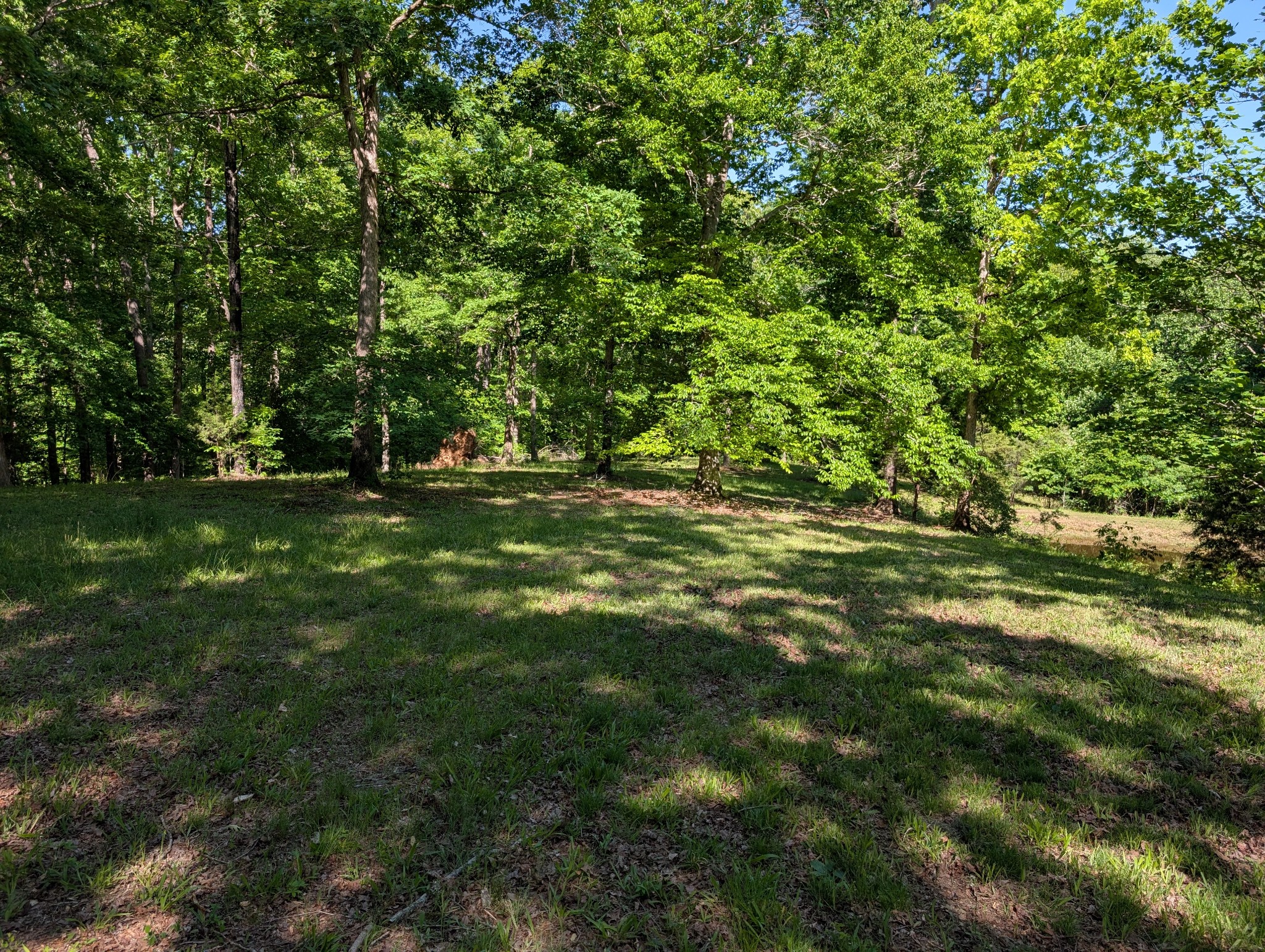 456 Walker Ridge Road Big Rock, TN 37023 - Photo 66 of 71 Gallery Image 66