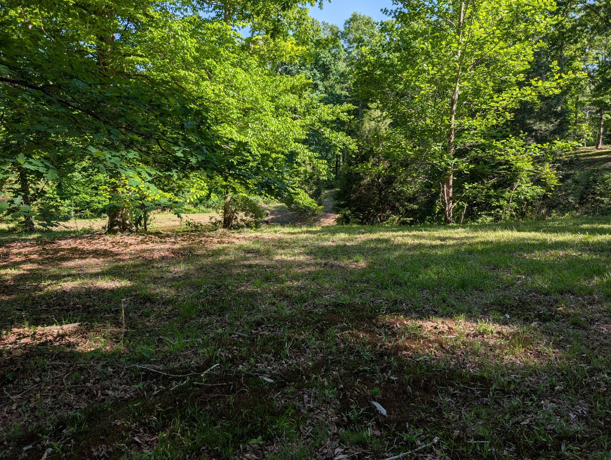 456 Walker Ridge Road Big Rock, TN 37023 - Photo 67 of 71 Gallery Image 67