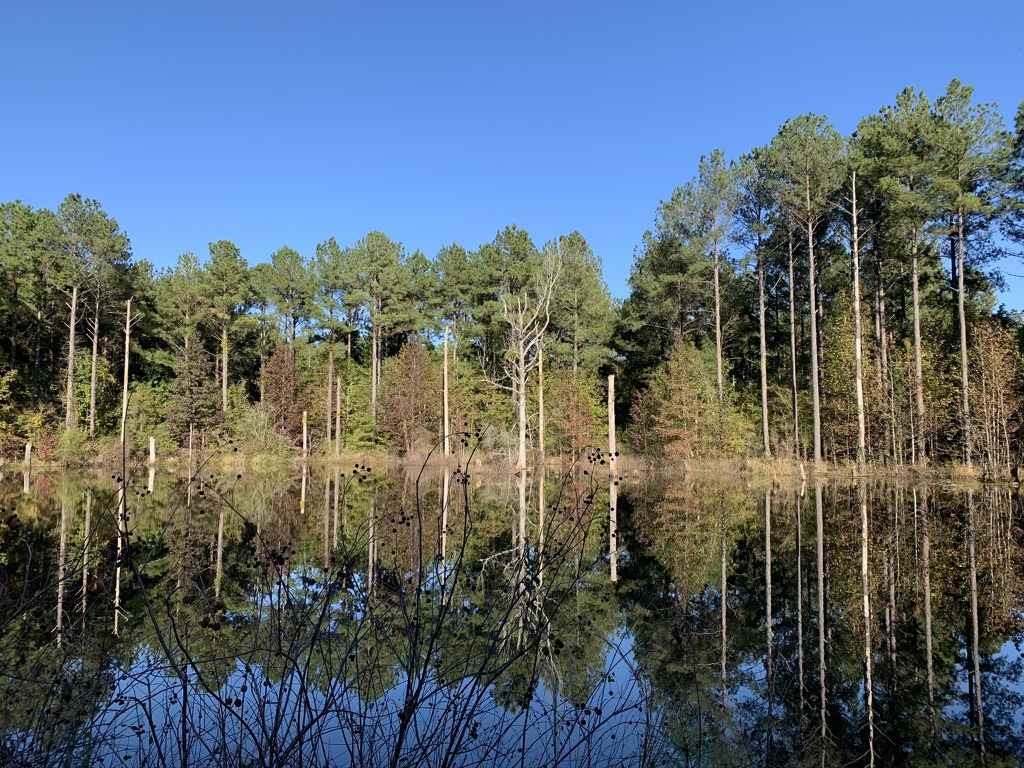 403 Quail Road Canton, MS 39046 - Photo 1 of 32 Photo 1