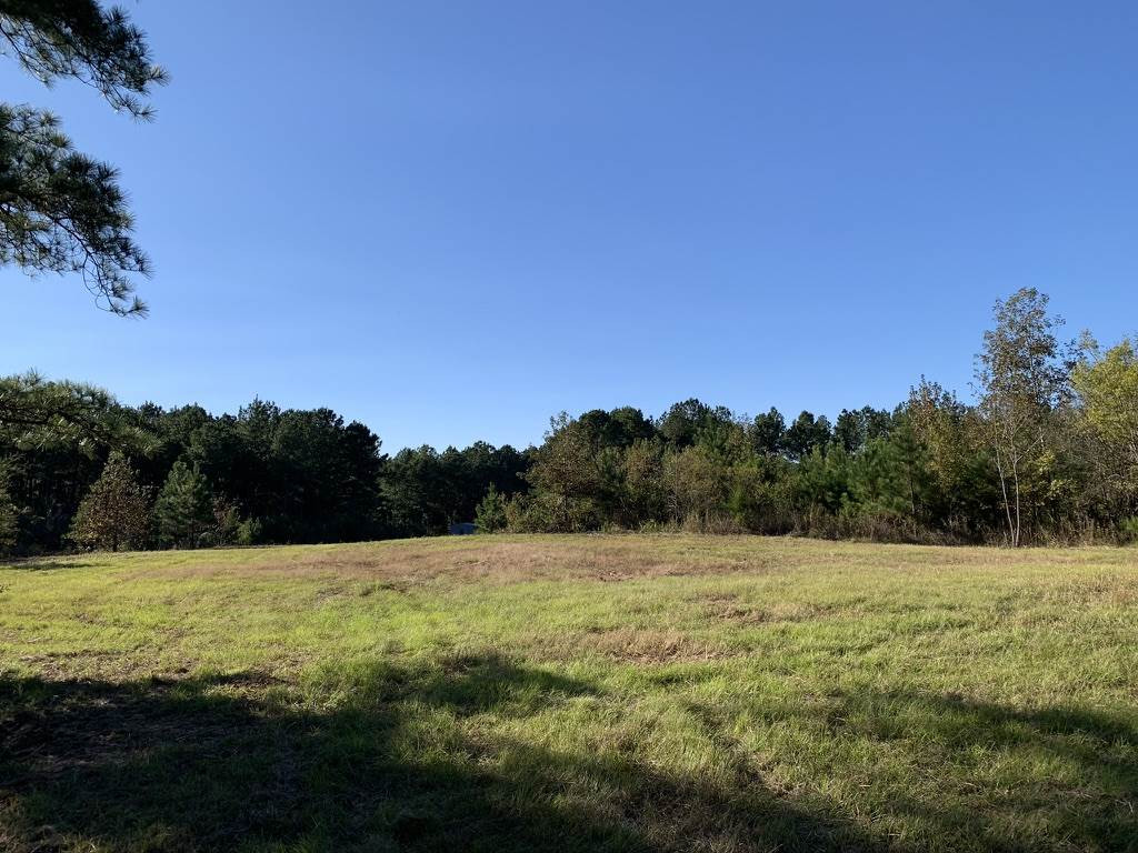 403 Quail Road Canton, MS 39046 - Photo 11 of 32 Photo 11