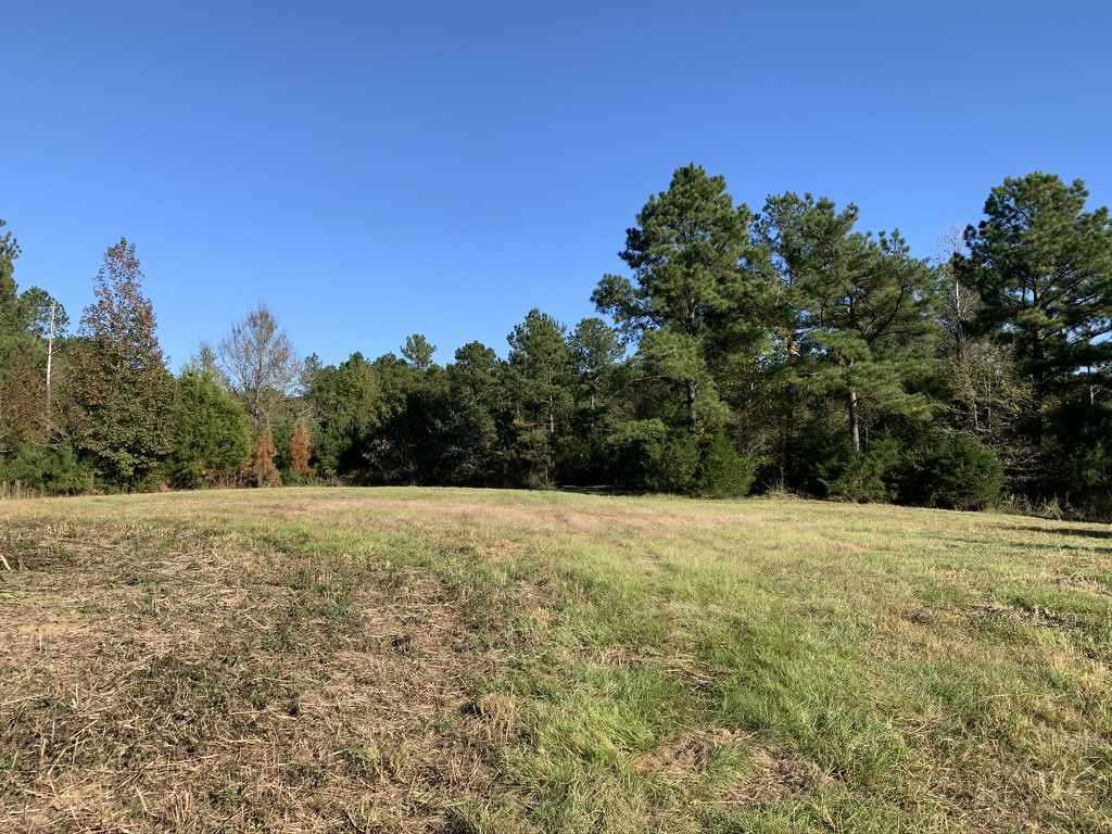 403 Quail Road Canton, MS 39046 - Photo 12 of 32 Photo 12