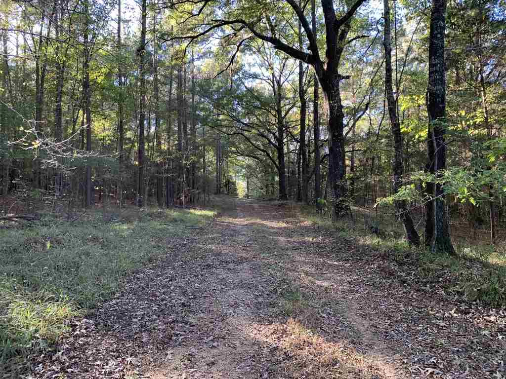 403 Quail Road Canton, MS 39046 - Photo 14 of 32 Photo 14