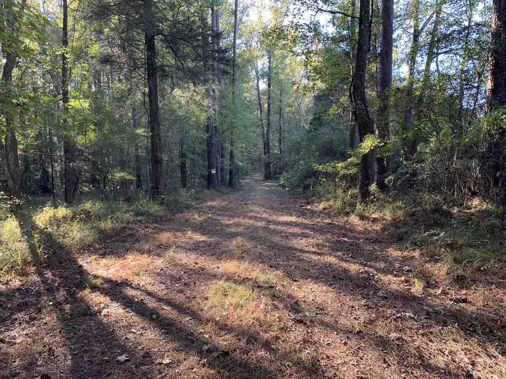 403 Quail Road Canton, MS 39046 - Photo 15 of 32 Photo 15