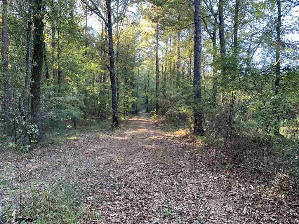 403 Quail Road Canton, MS 39046 - Photo 16 of 32 Photo 16