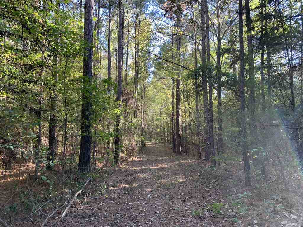 403 Quail Road Canton, MS 39046 - Photo 17 of 32 Photo 17