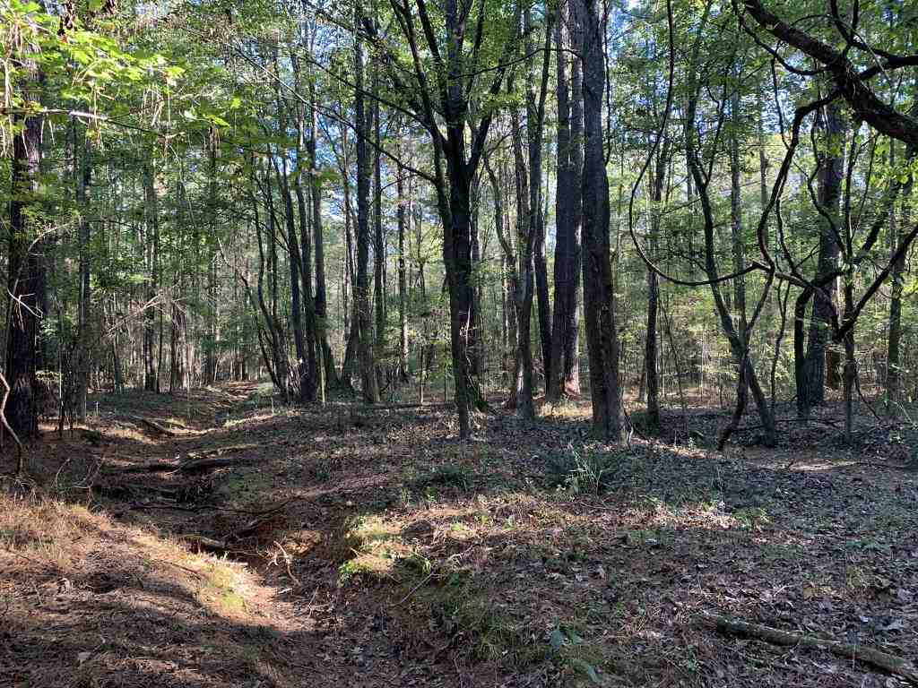 403 Quail Road Canton, MS 39046 - Photo 18 of 32 Photo 18