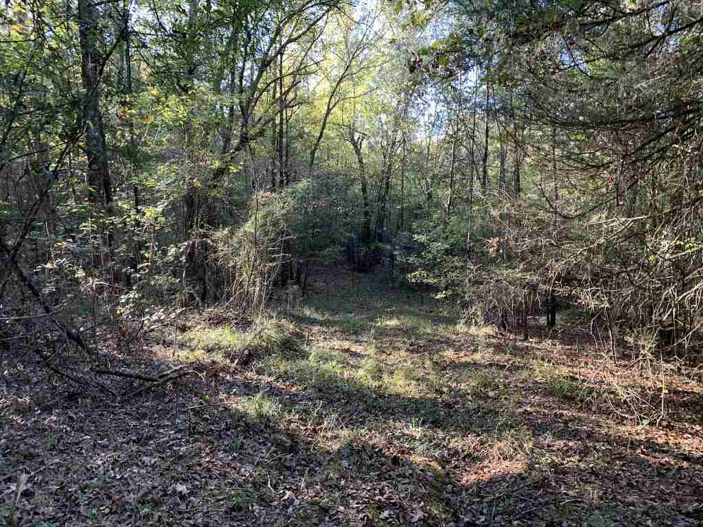 403 Quail Road Canton, MS 39046 - Photo 19 of 32 Photo 19