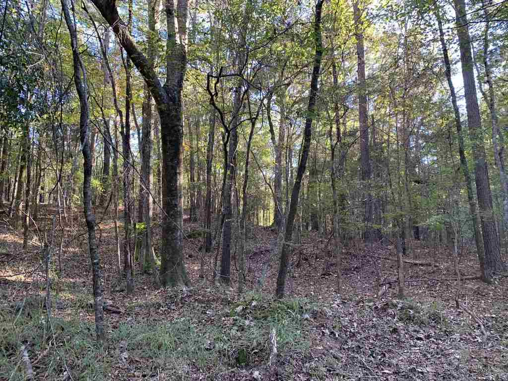 403 Quail Road Canton, MS 39046 - Photo 20 of 32 Photo 20