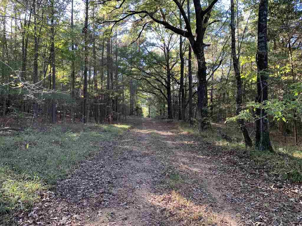 403 Quail Road Canton, MS 39046 - Photo 21 of 32 Photo 21