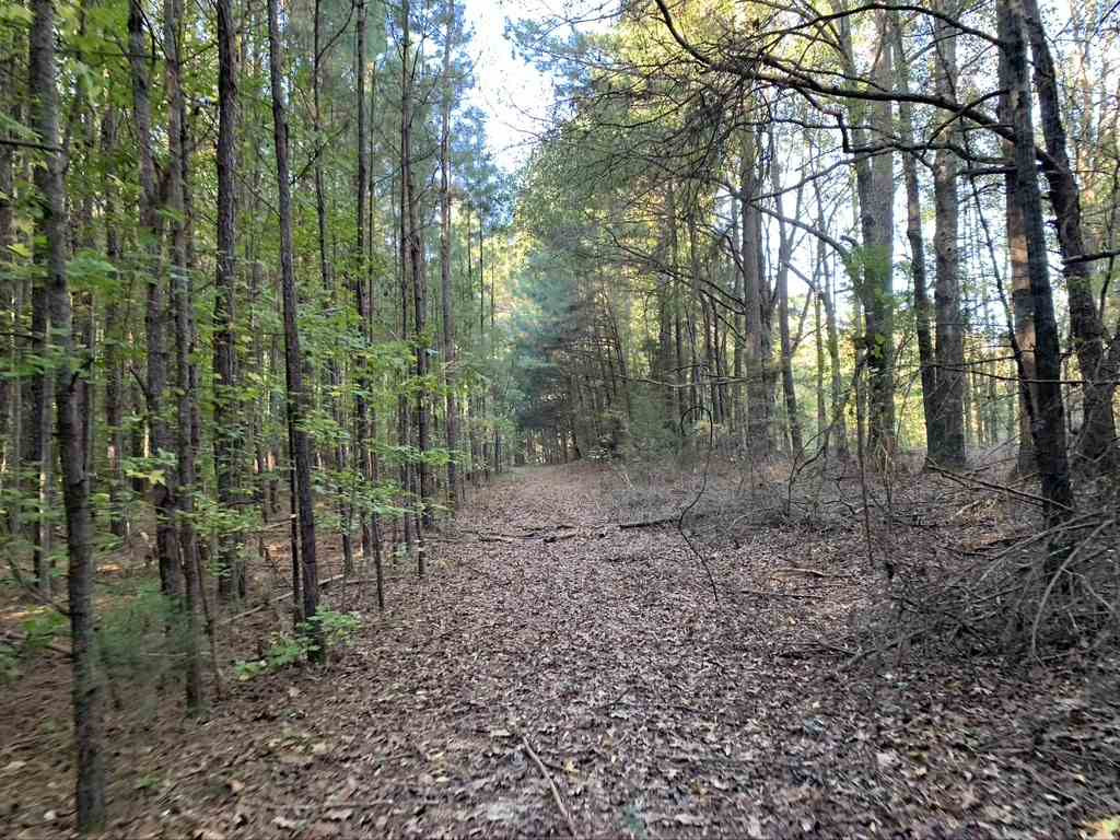 403 Quail Road Canton, MS 39046 - Photo 30 of 32 Photo 31