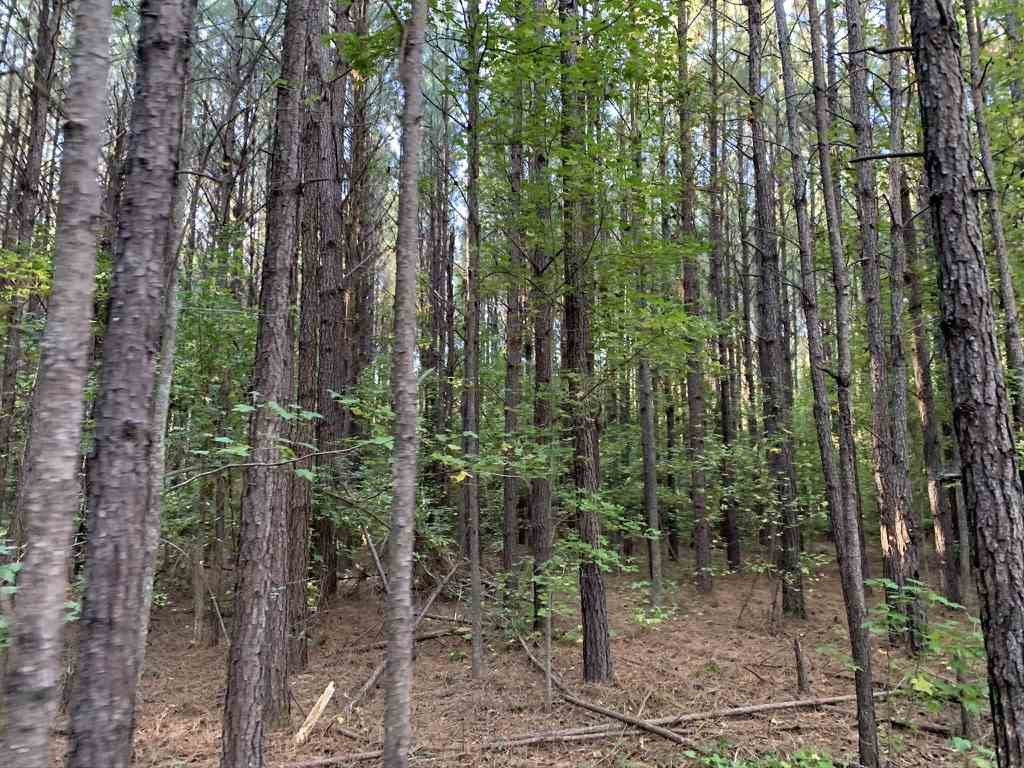403 Quail Road Canton, MS 39046 - Photo 31 of 32 Photo 32