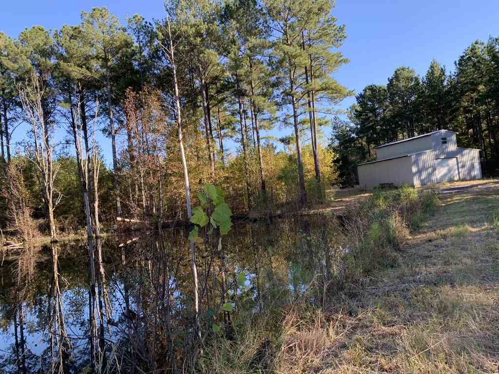 403 Quail Road Canton, MS 39046 - Photo 4 of 32 Photo 4