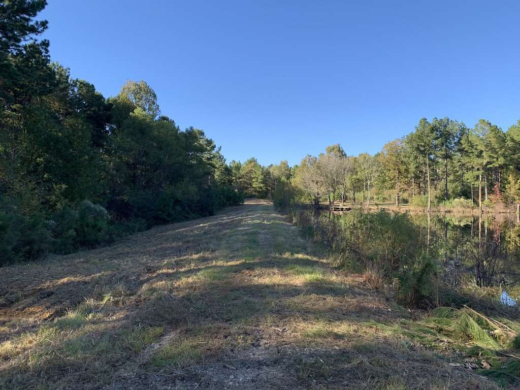 403 Quail Road Canton, MS 39046 - Photo 7 of 32 Photo 7