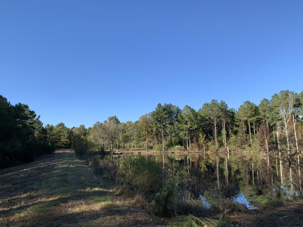 403 Quail Road Canton, MS 39046 - Photo 8 of 32 Photo 8