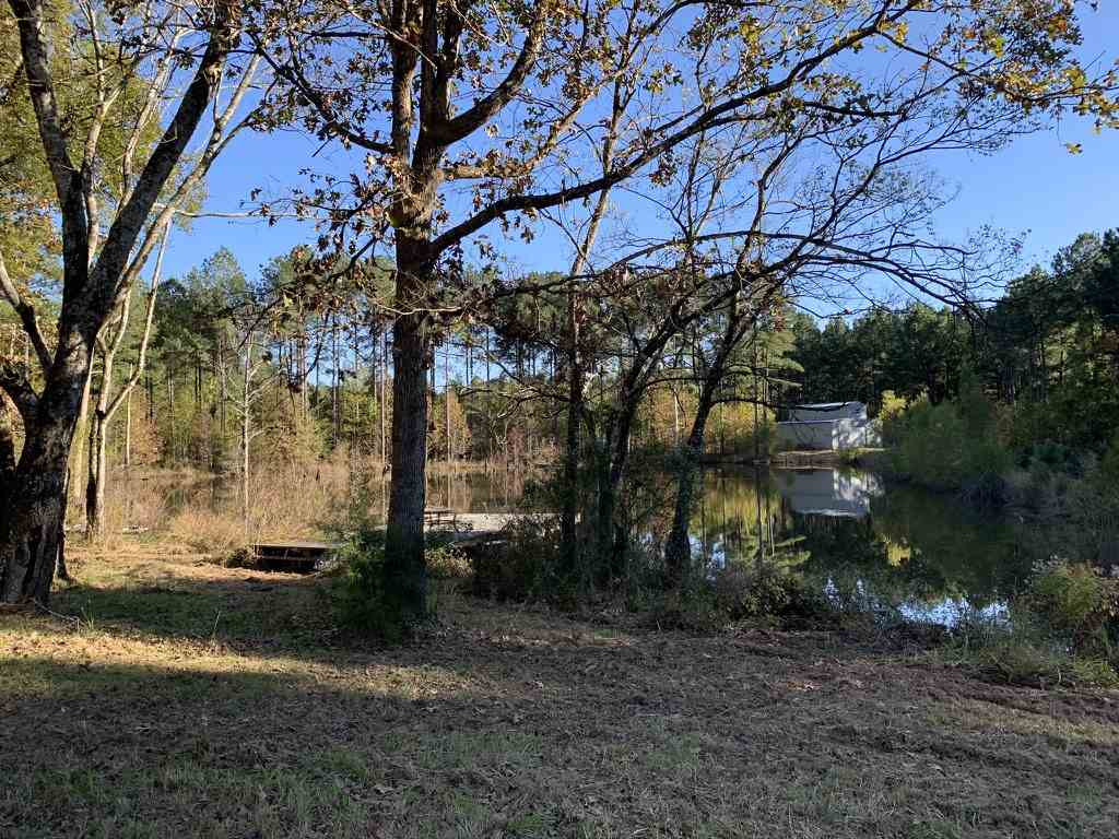 403 Quail Road Canton, MS 39046 - Photo 9 of 32 Photo 9