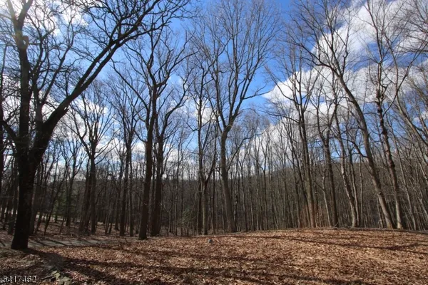 $5,500 | 306 Pleasant Valley Road, Morganville, NJ 07751