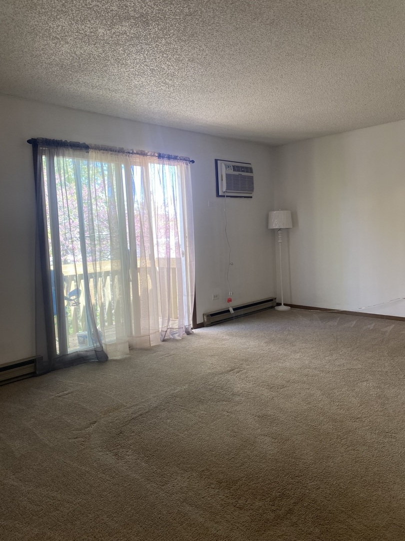 216 Madison Street, Unit 3D Joliet, IL 60435 - Photo 3 of 6 an empty room with windows