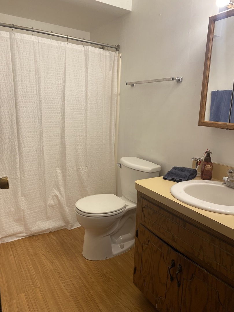 216 Madison Street, Unit 3D Joliet, IL 60435 - Photo 5 of 6 a bathroom with a sink a toilet and a mirror