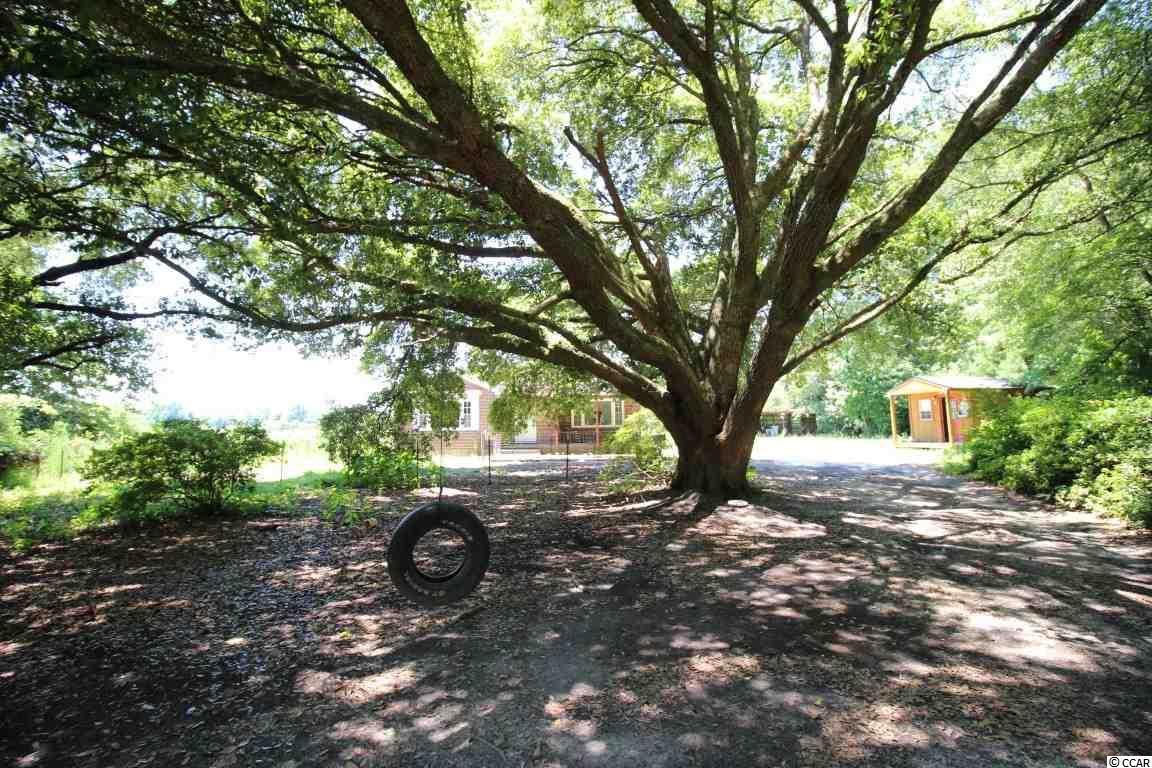 80 Aldridge Lane Hemingway, SC 29554 - Photo 3 of 14 Gallery Image 3