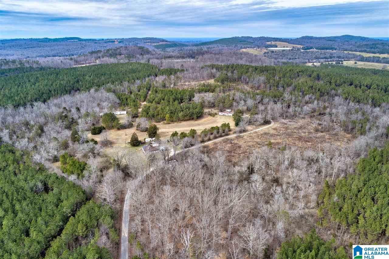 620 Chief Albert Road Blountsville, AL 35031 - Photo 1 of 15