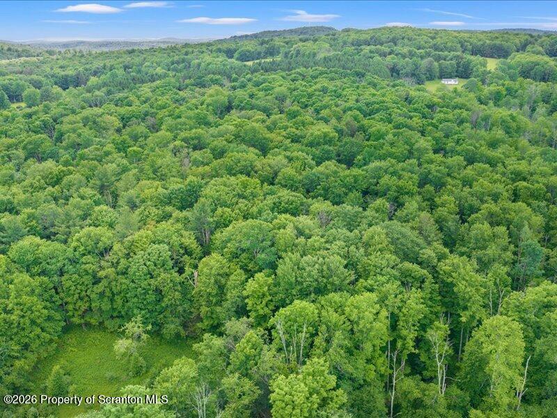 Stanley Lake Road Friendsville, PA 18818 - Photo 2 of 15 02-DJI_20260618041948_0150_D