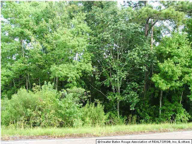 Lot E-1 Zeb Chaney Road Zachary, LA 70791 - Photo 1 of 4 Gallery Image 1