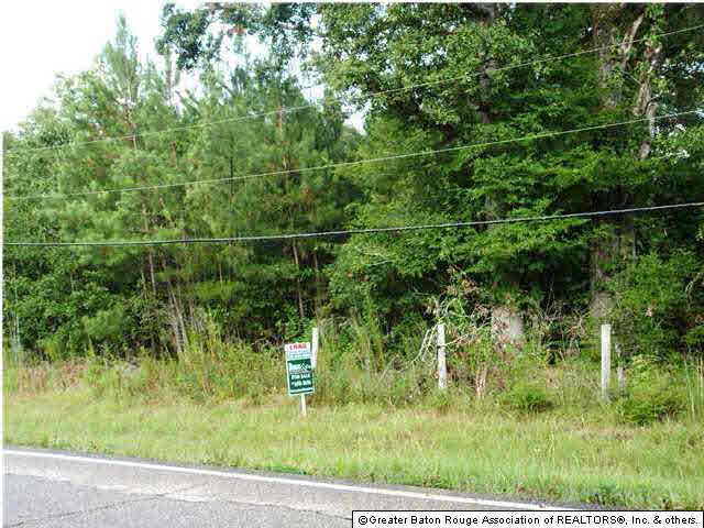 Lot E-1 Zeb Chaney Road Zachary, LA 70791 - Photo 2 of 4 Gallery Image 2
