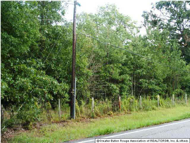 Lot E-1 Zeb Chaney Road Zachary, LA 70791 - Photo 3 of 4 Gallery Image 3