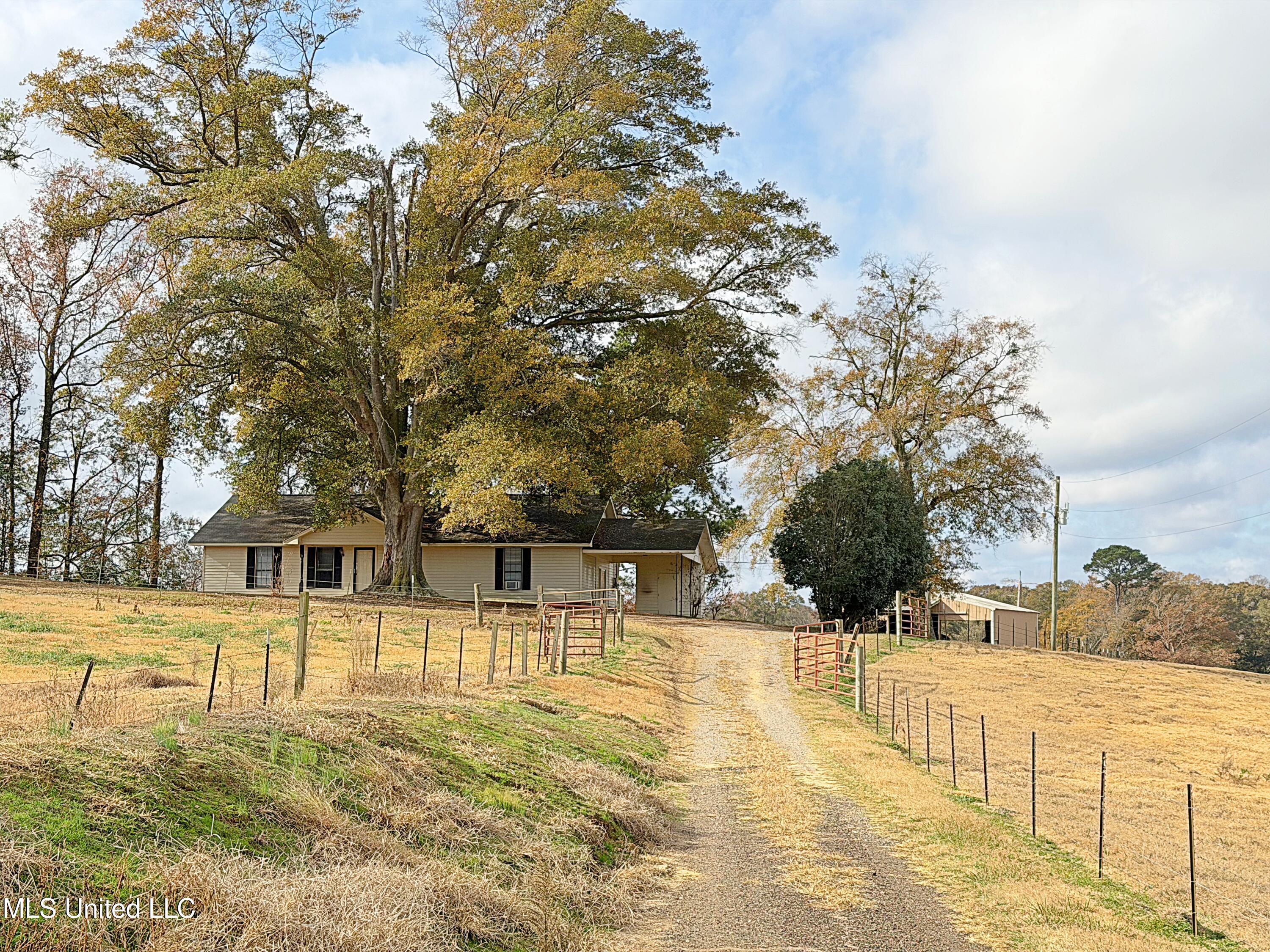 4011 Midway Road Carthage, MS 39051 - Photo 3 of 26 Up the driveway