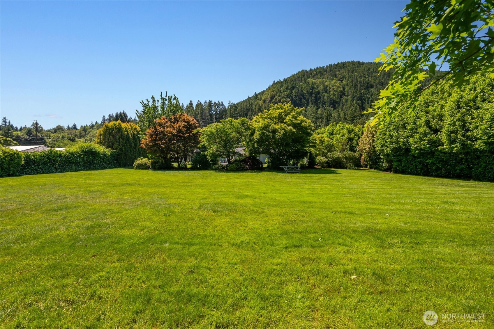 12328 Issaquah-Hobart Road Southeast Issaquah, WA 98027 - Photo 30 of 40