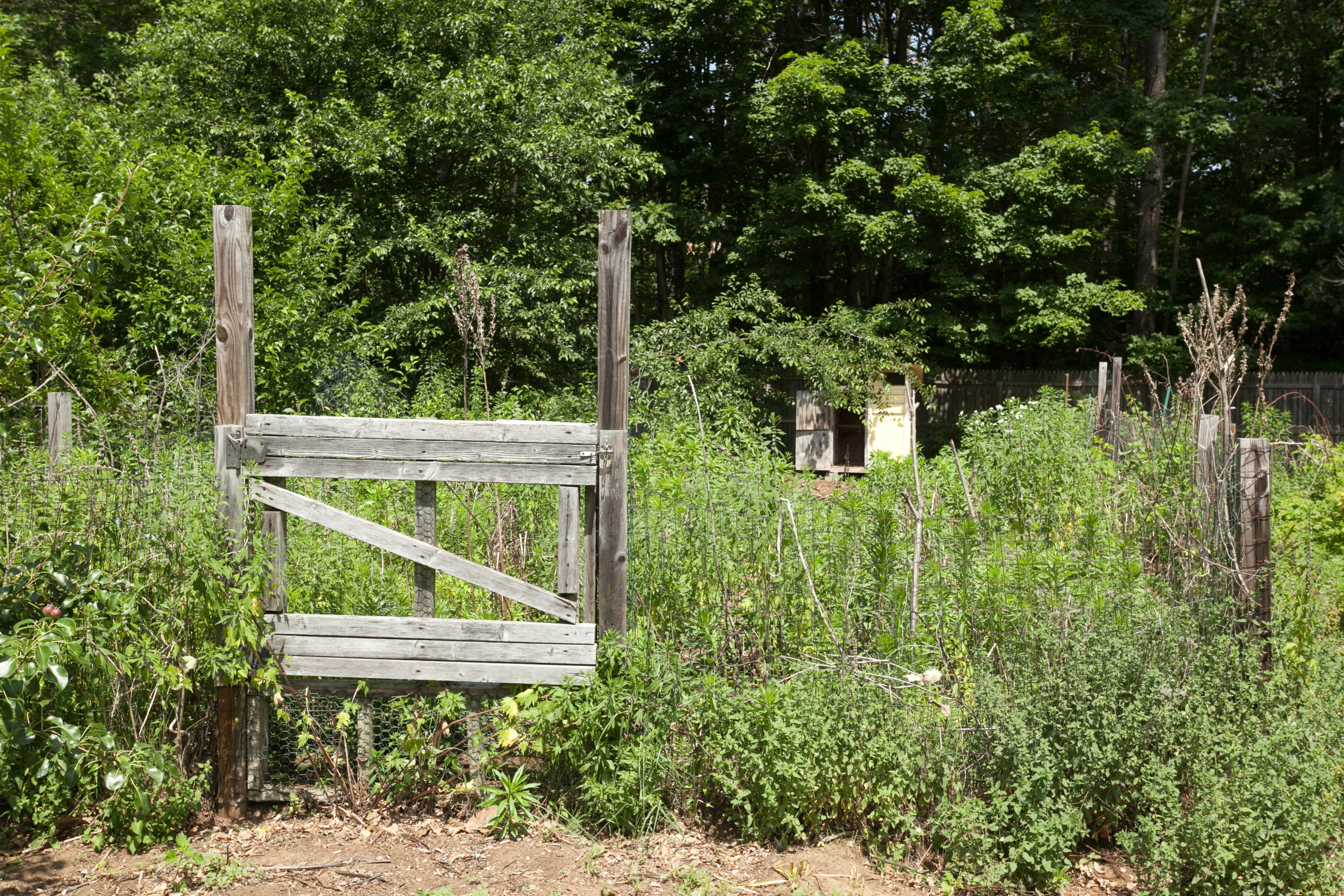 15 Old Logging Road North Berwick, ME 03906 - Photo 31 of 46 5365