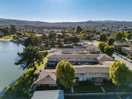 a view of a yard with plants and a fountain