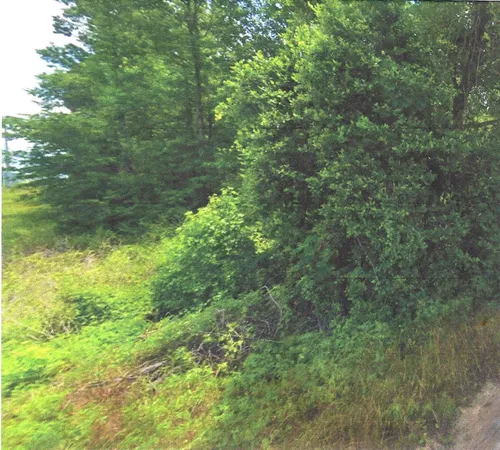 $503,500 | 0 North N Highway, Willis, TX 77378