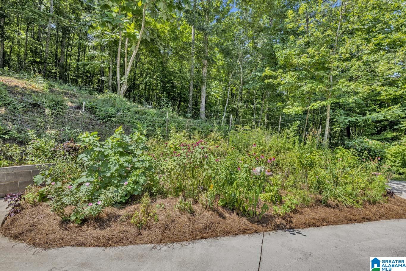 84 Dorr Road Oneonta, AL 35121 - Photo 7 of 44