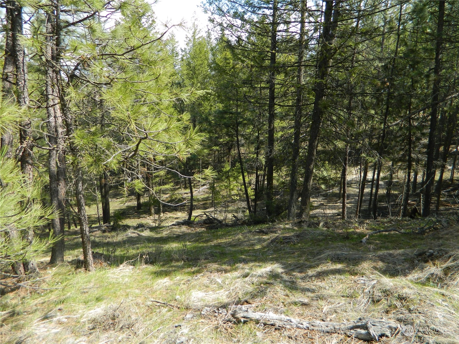 111-tbd Turtle Lake Road Tonasket, WA 98855 - Photo 15 of 30 Gallery Image 15