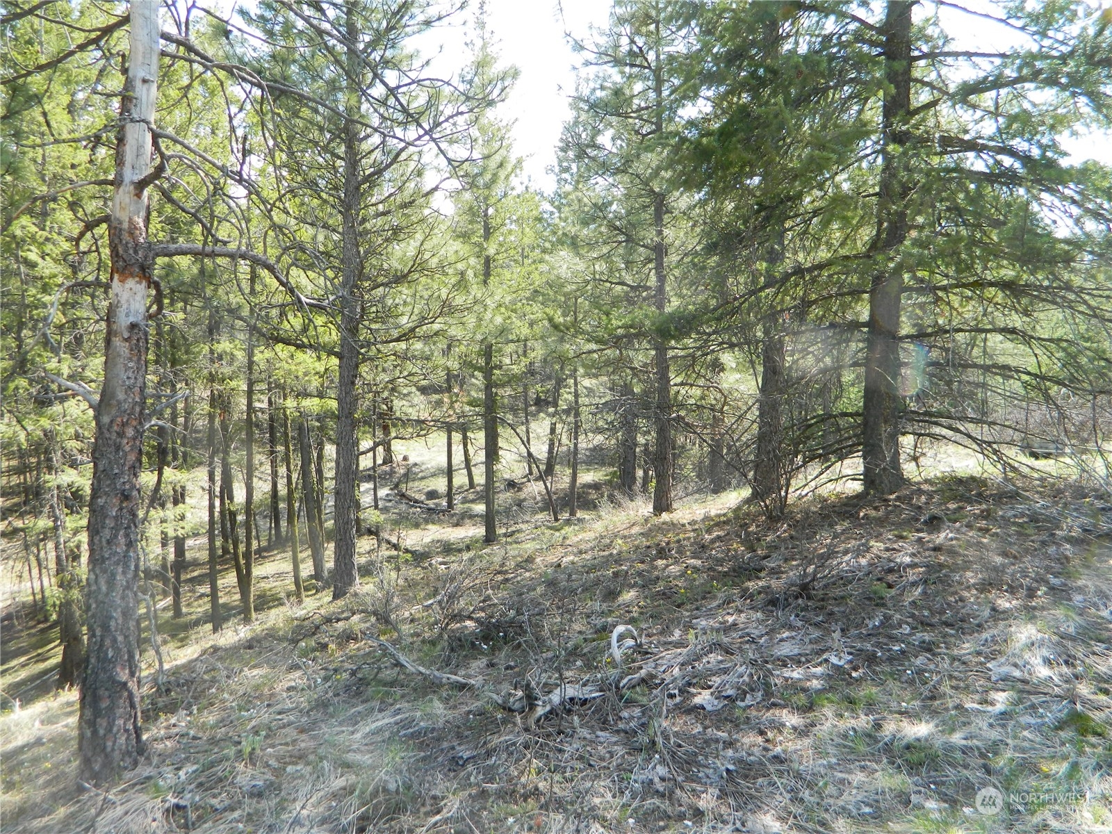 111-tbd Turtle Lake Road Tonasket, WA 98855 - Photo 19 of 30 Gallery Image 19