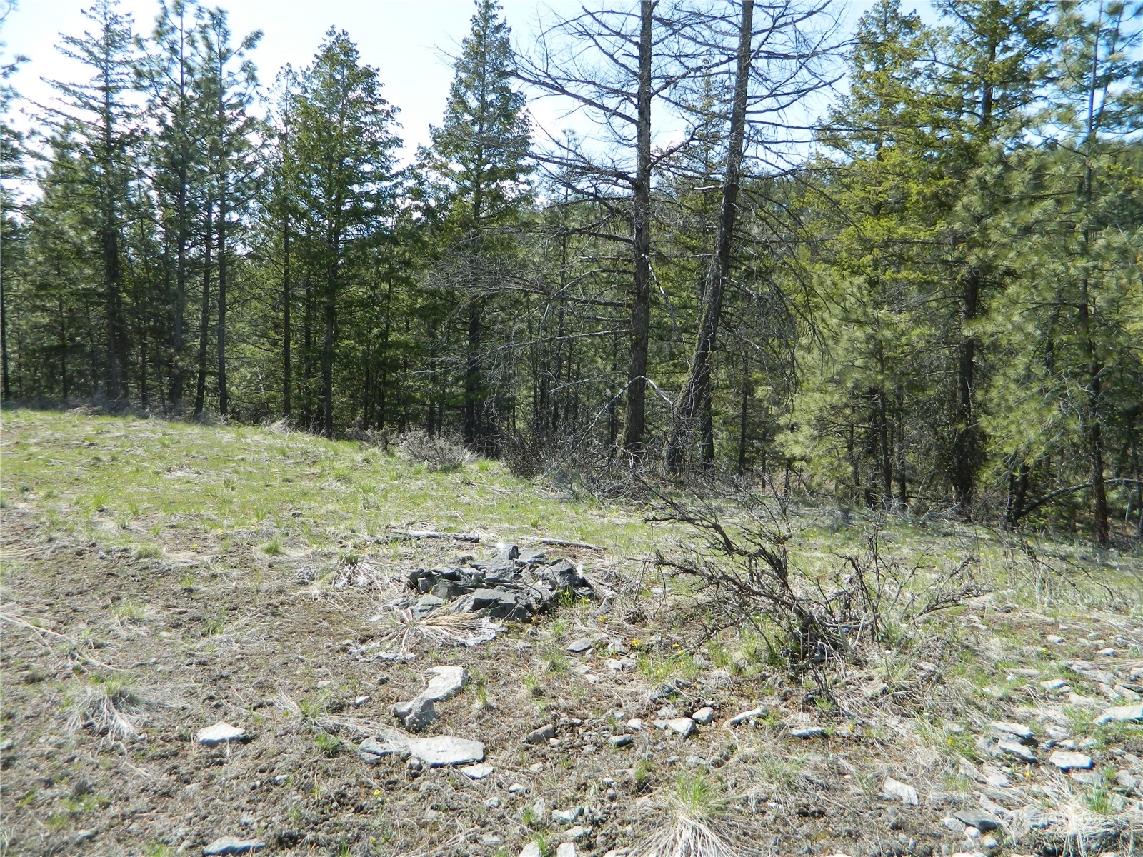 111-tbd Turtle Lake Road Tonasket, WA 98855 - Photo 20 of 30 Gallery Image 20