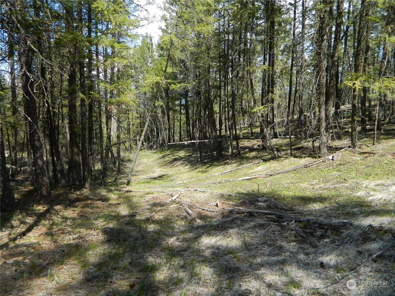 111-tbd Turtle Lake Road Tonasket, WA 98855 - Photo 24 of 30 Gallery Image 24
