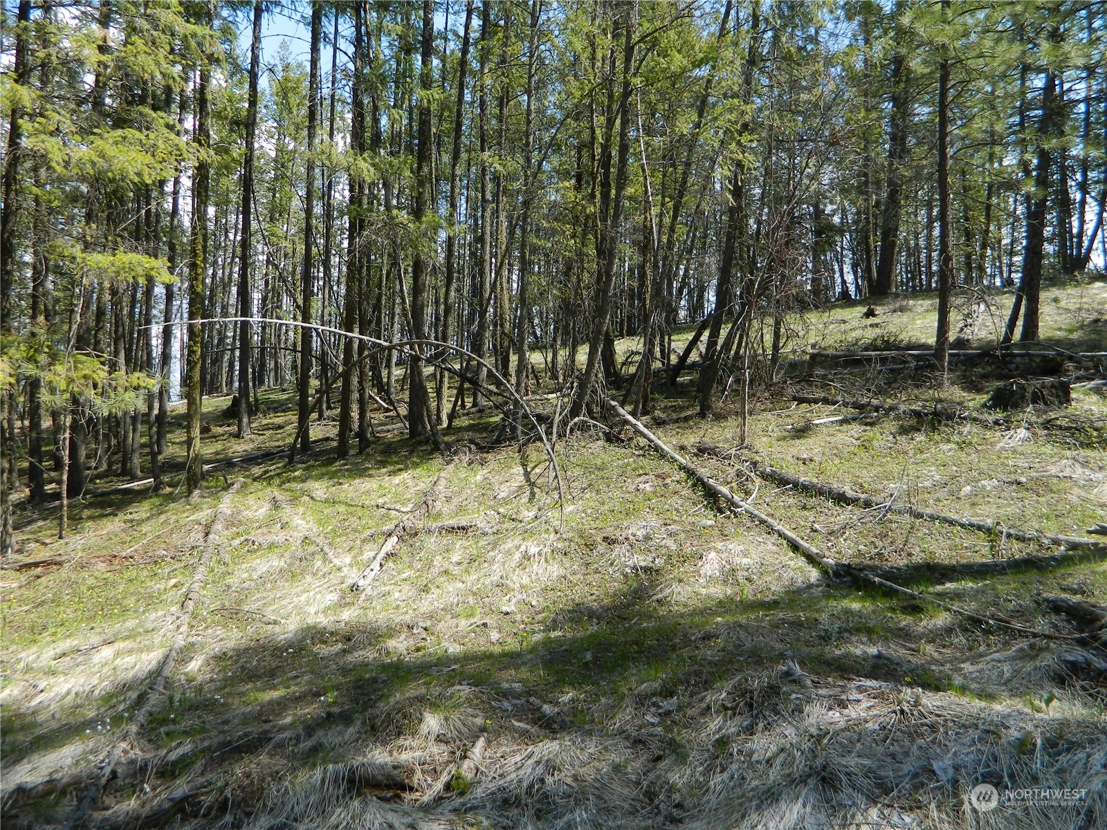 111-tbd Turtle Lake Road Tonasket, WA 98855 - Photo 25 of 30 Gallery Image 25