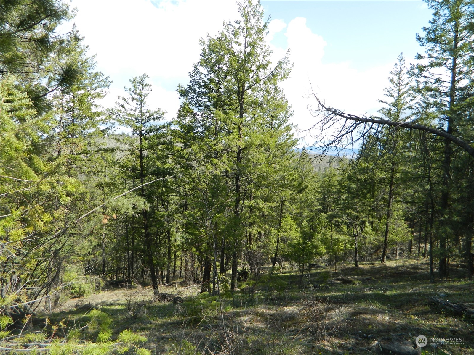 111-tbd Turtle Lake Road Tonasket, WA 98855 - Photo 9 of 30 Gallery Image 9