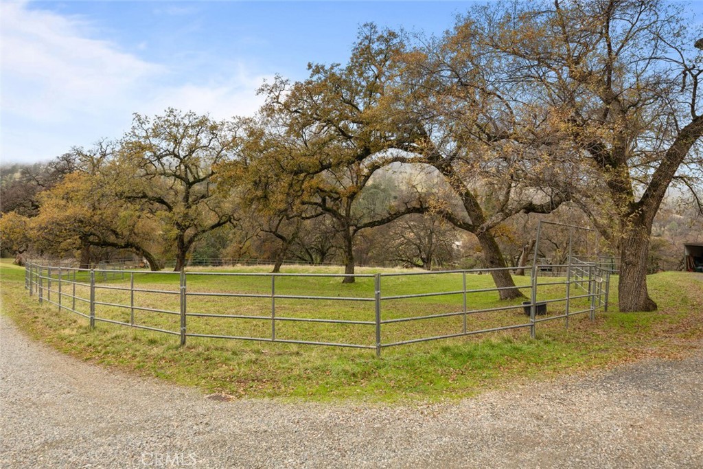 3576 Dry Creek Road Oroville, CA 95965 - Photo 61 of 75 a view of a yard with large trees