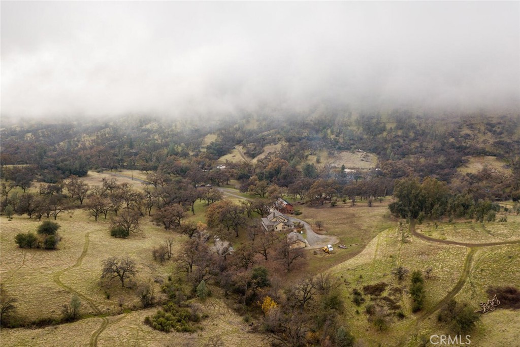 3576 Dry Creek Road Oroville, CA 95965 - Photo 74 of 75 a view of a yard with trees