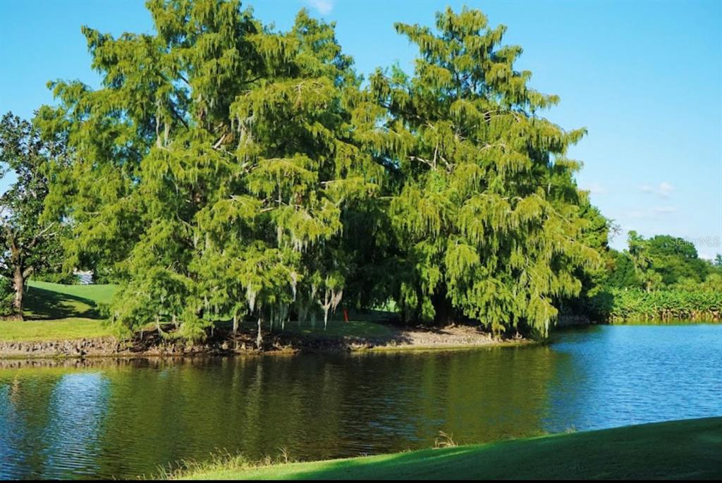6707 Stone River Road, Unit 101 Bradenton, FL 34203 - Photo 26 of 34 a view of lake background