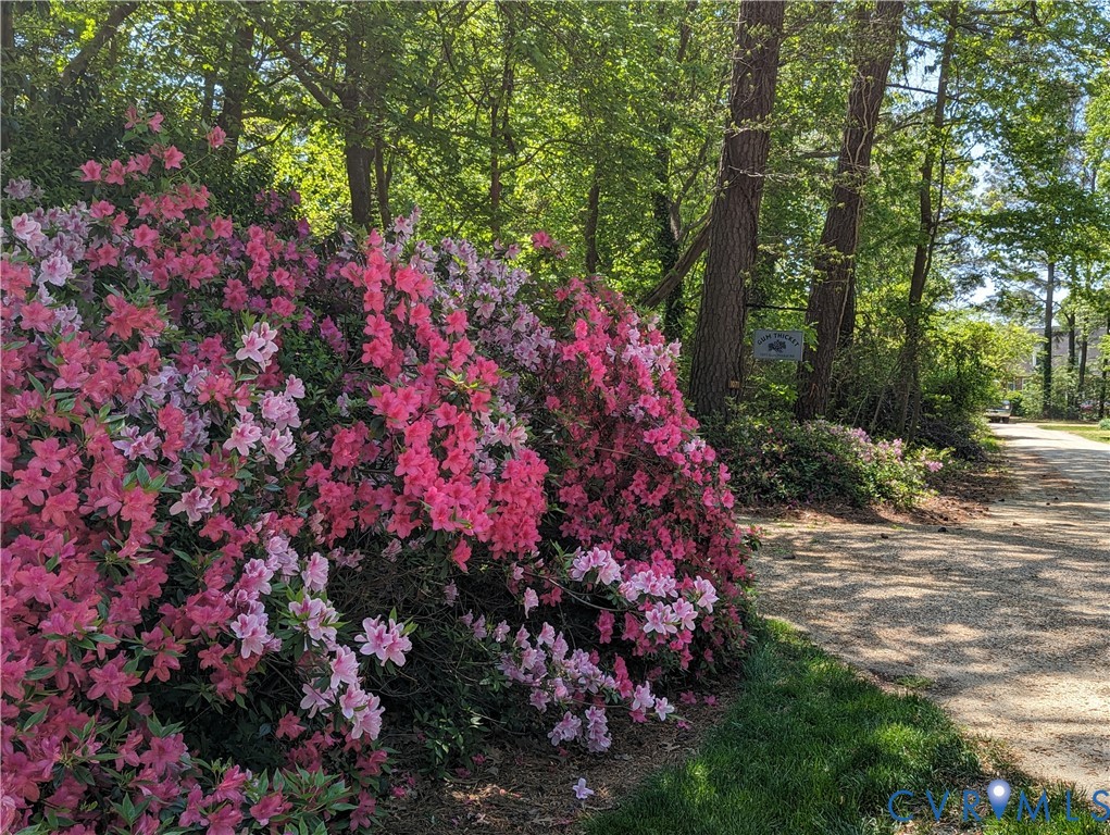 1071 Gum Thicket Road Gwynn, VA 23076 - Photo 53 of 53 a picture of flowers