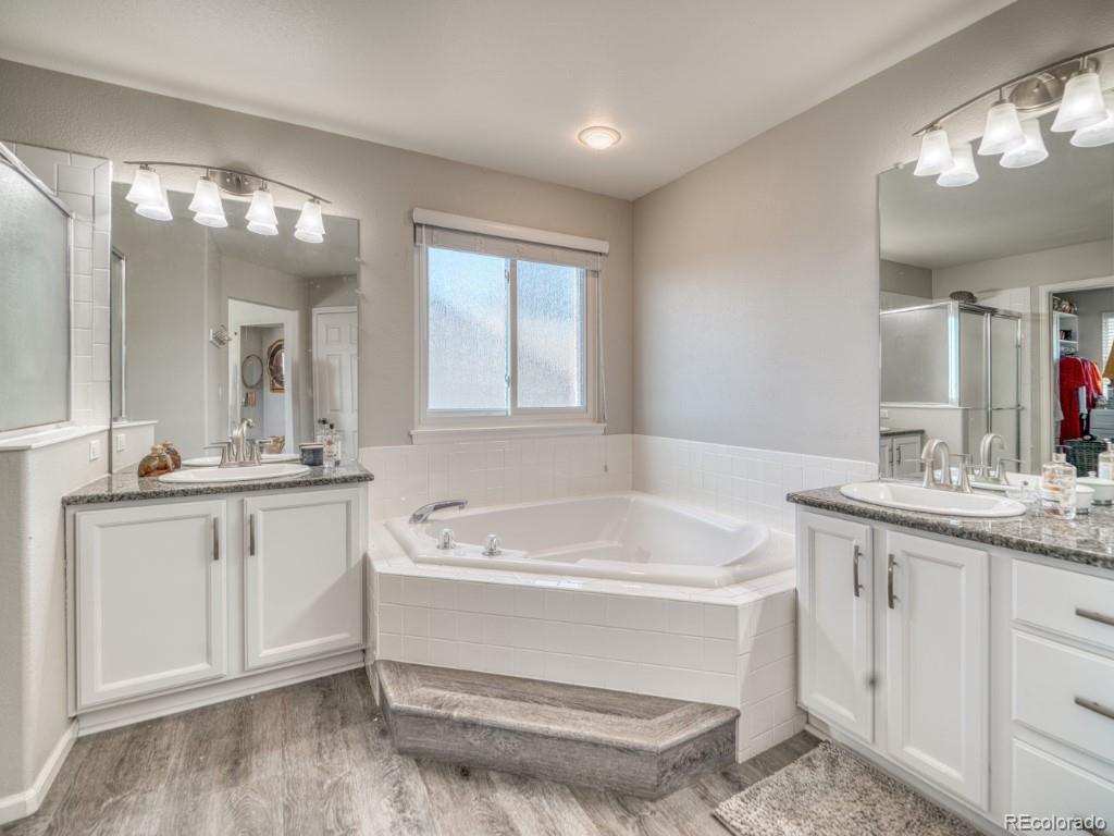 1864 Mountain Maple Avenue Highlands Ranch, CO 80129 - Photo 20 of 35 a bathroom with a sink a large mirror and a bathtub
